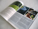 Coriander Koliana Brochure