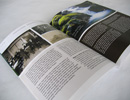 Coriander Koliana Brochure